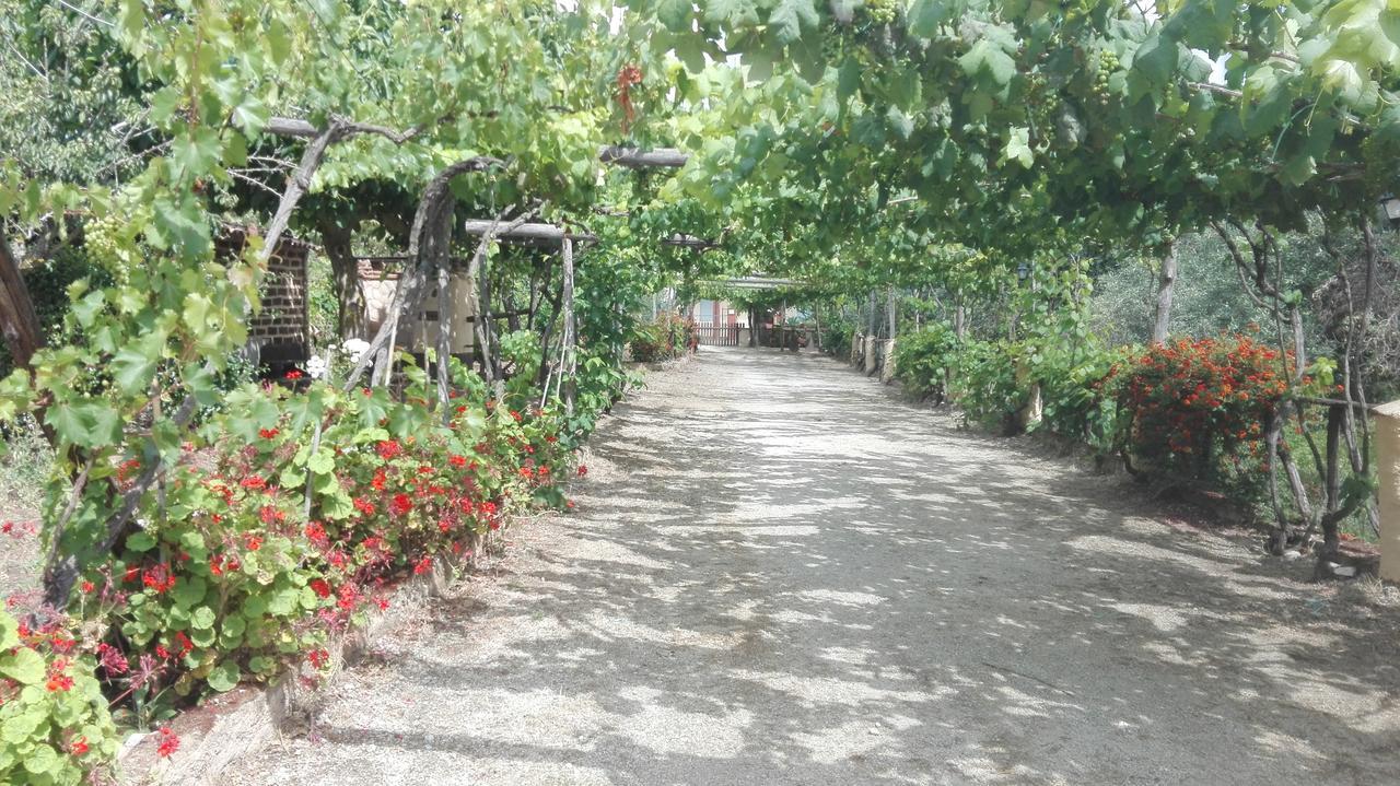 Agriturismo Casa Del Contadino Drapia Exterior foto